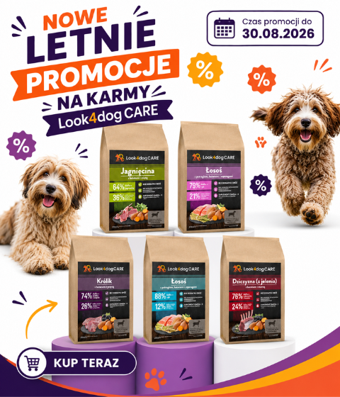 Wakacyjne PROMO 2026 sierpień