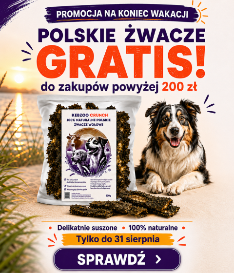 Żwacze gratis VIII 2026