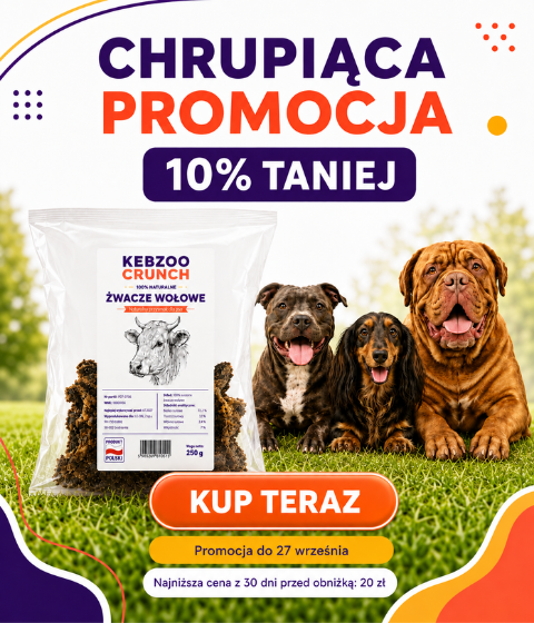 Żwacze VIII 2026