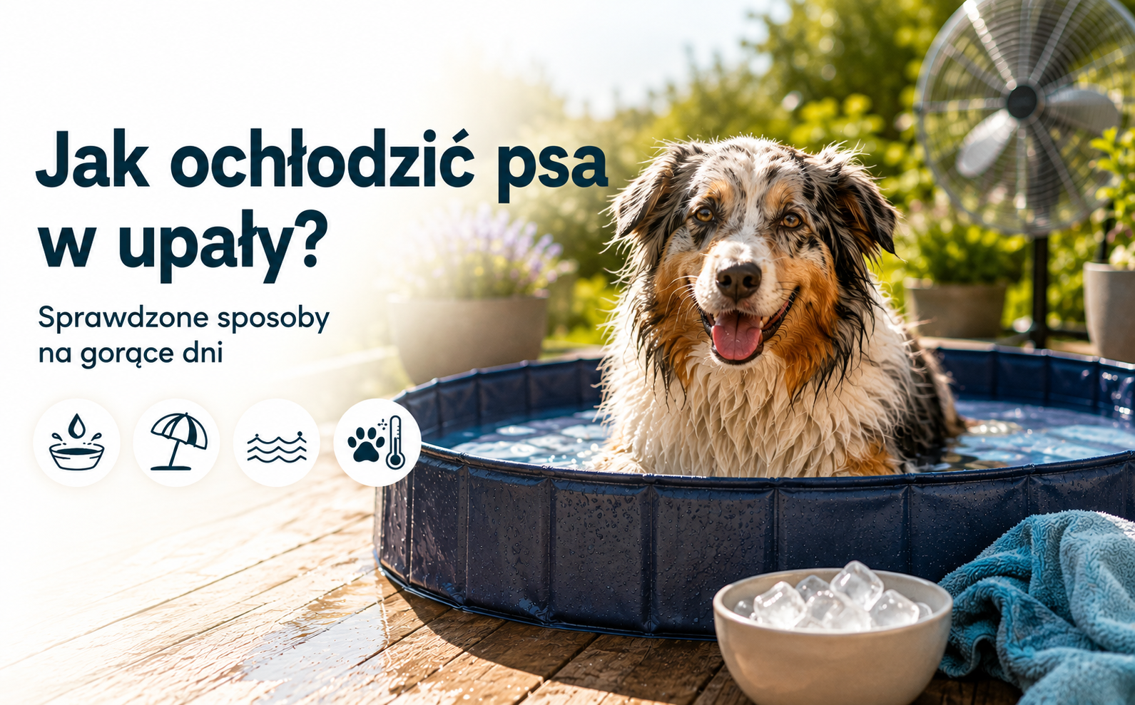 Jak ochłodzić psa w upały? Sprawdzone sposoby na gorące dni