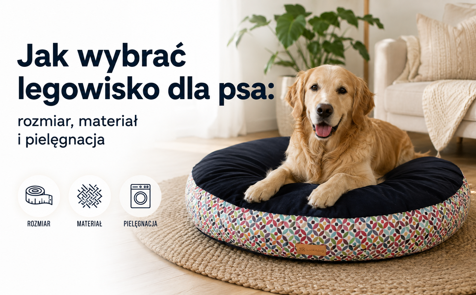 Jak wybrać legowisko dla psa: rozmiar, materiał i pielęgnacja