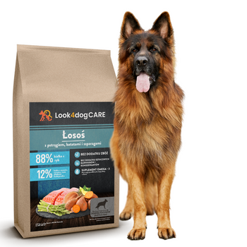 Karma Look4dog CARE łosoś pstrąg duża rasa 6 kg