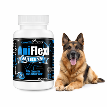 Game Dog AniFlexi MARINE V2 80 tabletek na stawy psa
