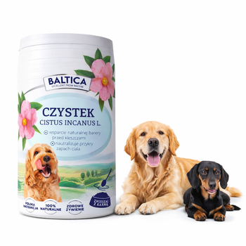 Czystek dla psa 100g – Naturalna ochrona i wzmocnienie odporności