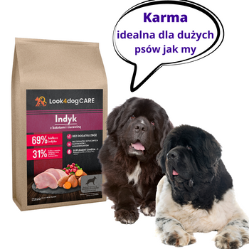 Karma Look4dog CARE dla psów dużych ras indyk 6 kg