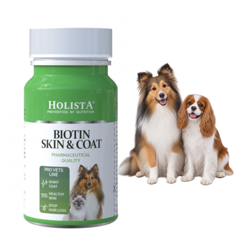Holista Biotin Skin & Coat – 90 tabletek